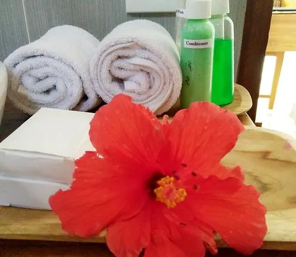 Harmony Private And Pool * ウブド